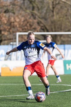 Bild 230 - wBJ Hamburger SV - Hertha BSC : Ergebnis: 2:1